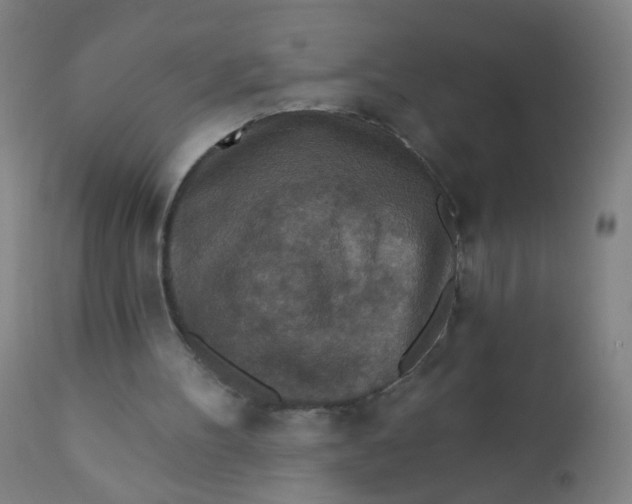 X0000110720100200907022055