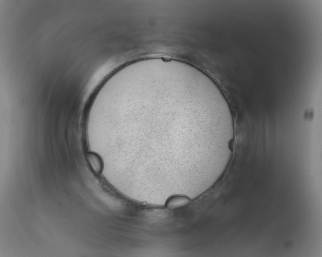 X0000110720102200907022055