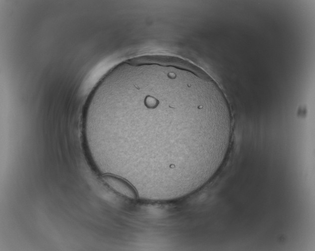 X0000110720103200907022055