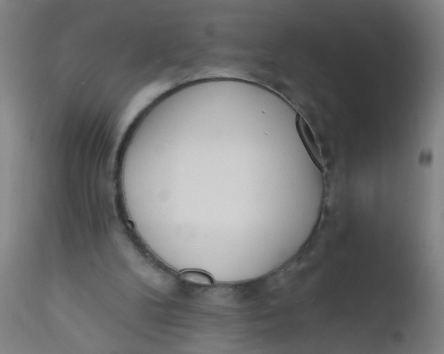 X0000110720104200907022055