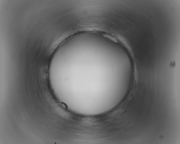 X0000110720105200907022055