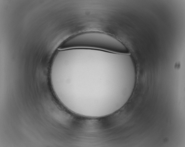 X0000110720108200907022055