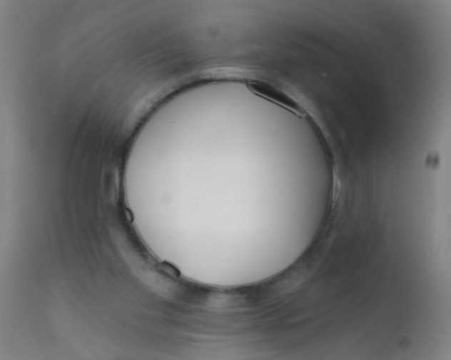 X0000110720109200907022055