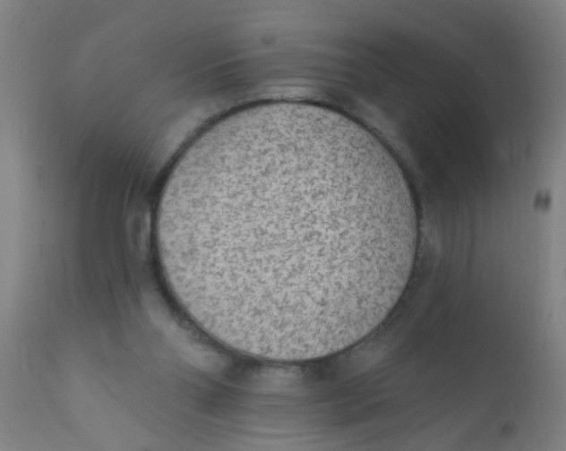 X0000110720110200907022055