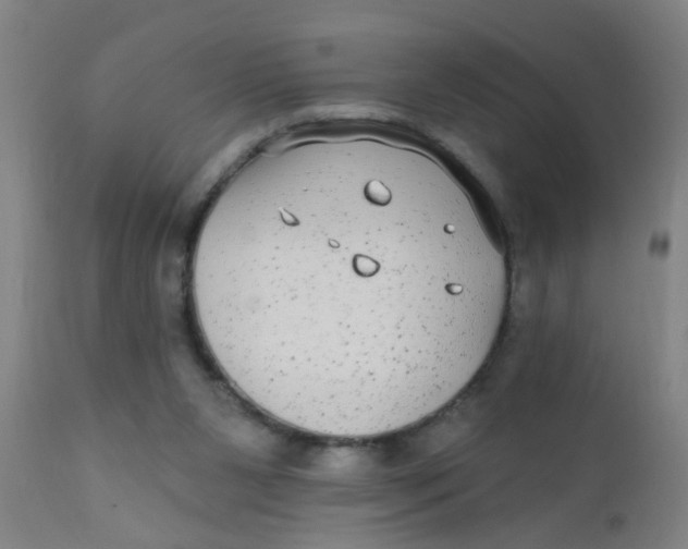 X0000110720111200907022055