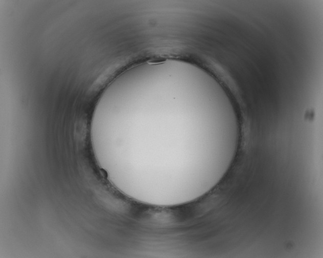 X0000110720113200907022055