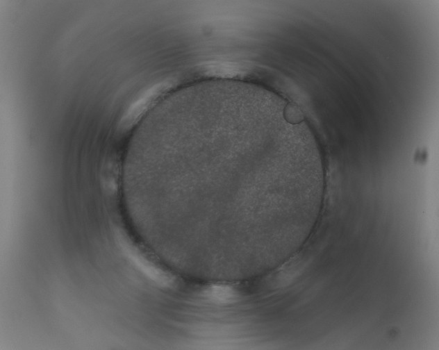 X0000110720114200907022055