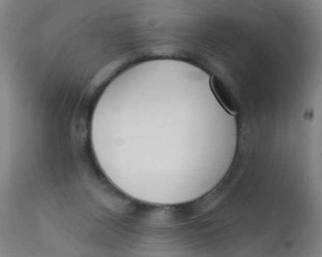 X0000110720116200907022055