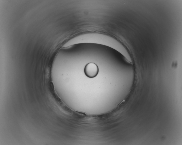 X0000110720117200907022055