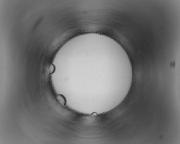 X0000110720118200907022055