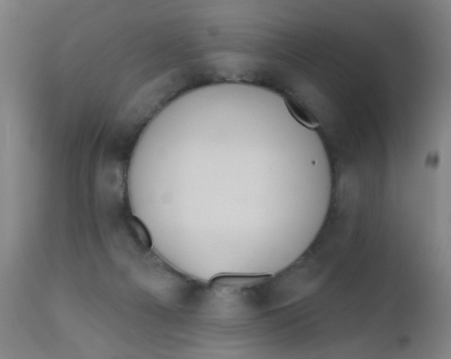 X0000110720121200907022055