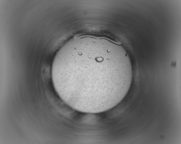 X0000110720123200907022055