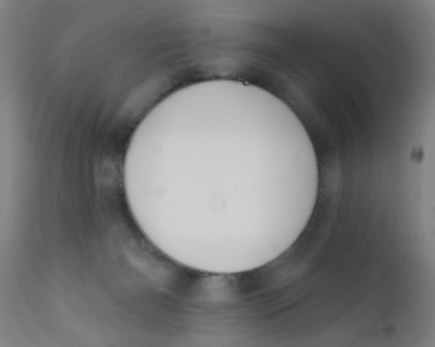 X0000110720126200907022055