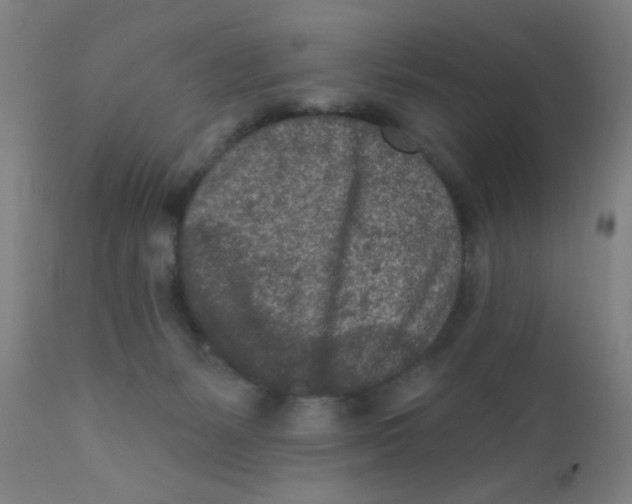 X0000110720127200907022055