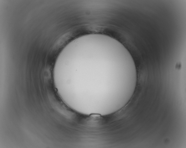 X0000110720128200907022055