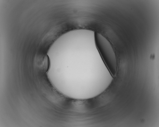 X0000110720129200907022055