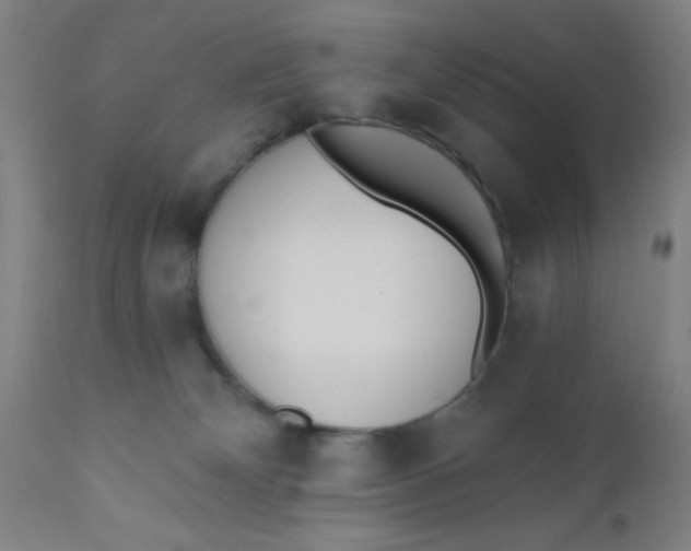 X0000110720132200907022055