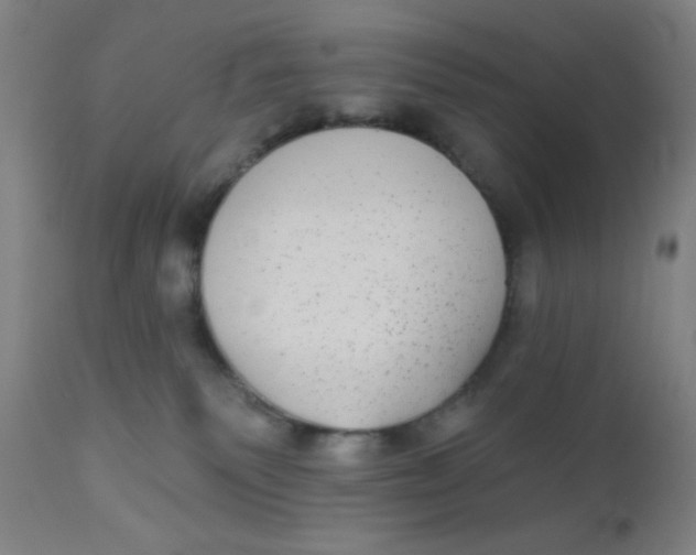 X0000110720135200907022055