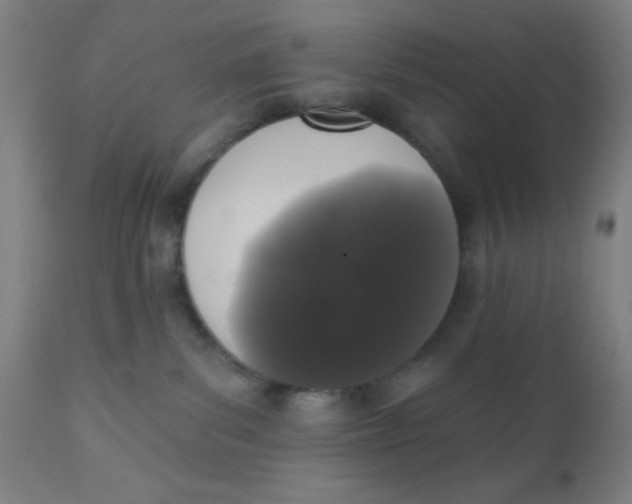 X0000110720139200907022055