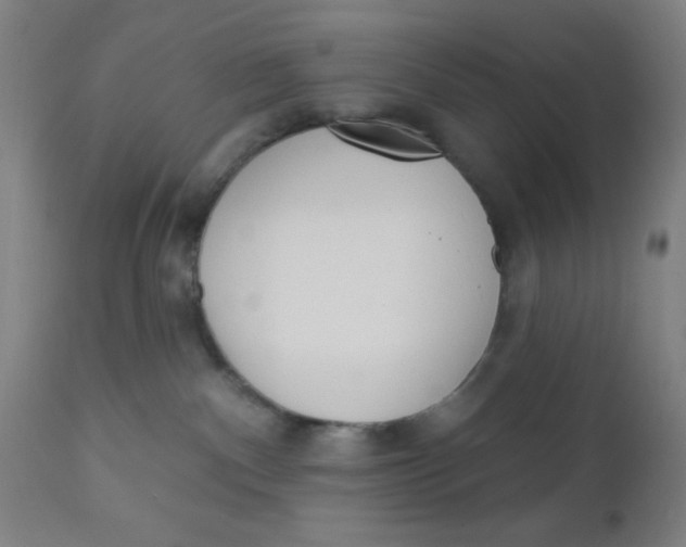 X0000110720140200907022055