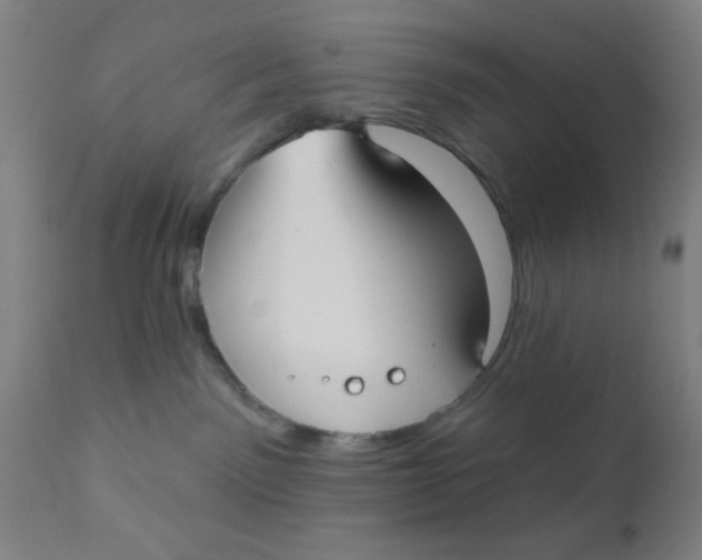 X0000110720141200907022055