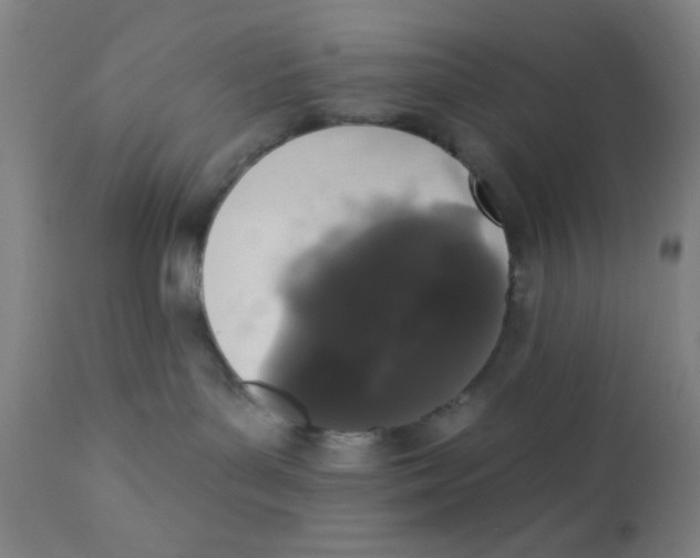 X0000110720143200907022055