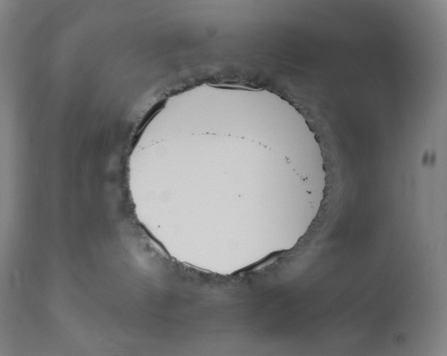 X0000110720144200907022055