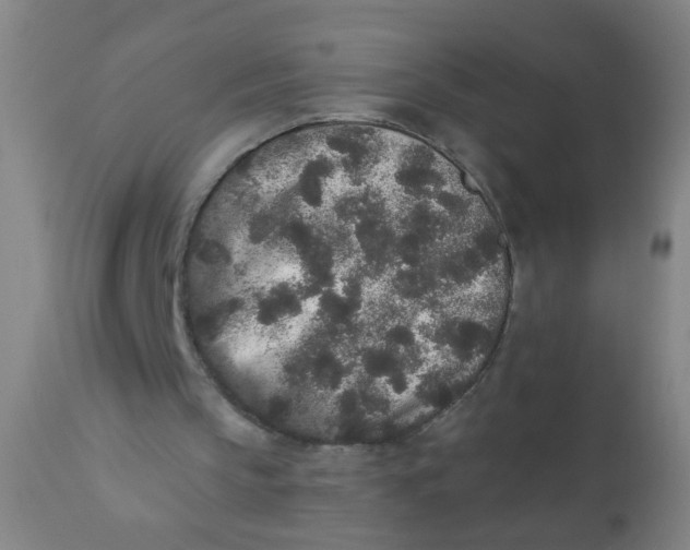 X0000110720145200907022054