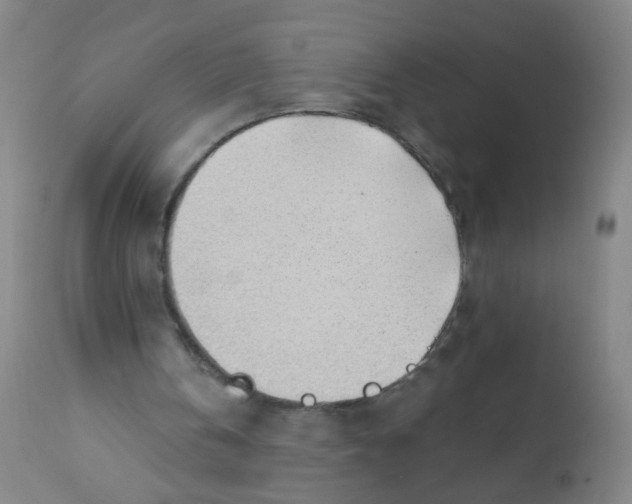 X0000110720146200907022054