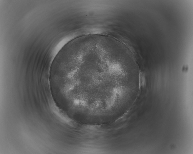 X0000110720147200907022054