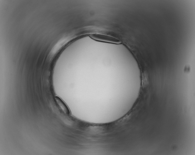 X0000110720150200907022054