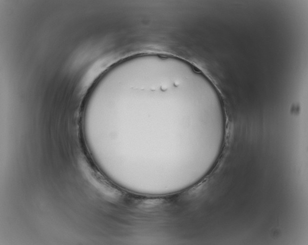 X0000110720151200907022054