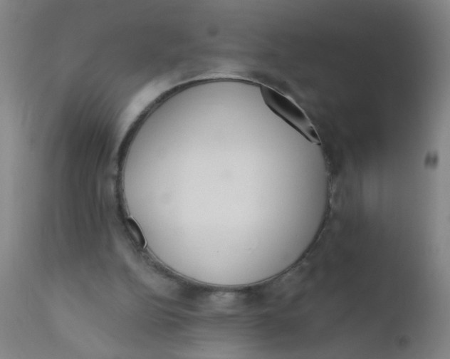 X0000110720152200907022054