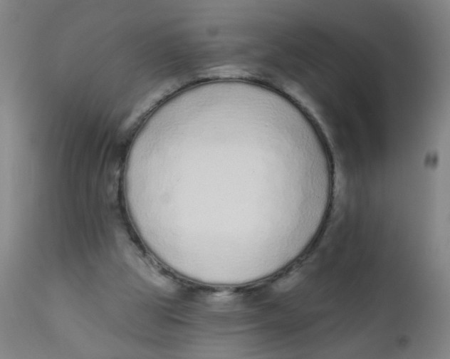 X0000110720153200907022054