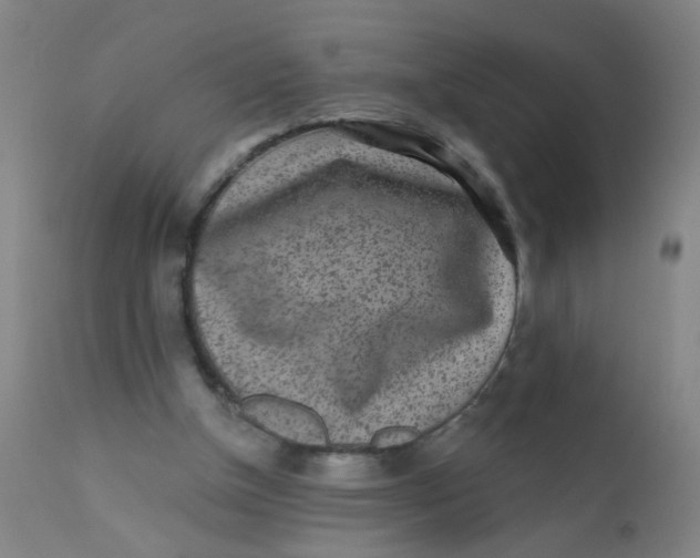 X0000110720154200907022054