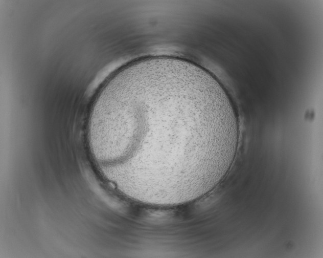 X0000110720155200907022054