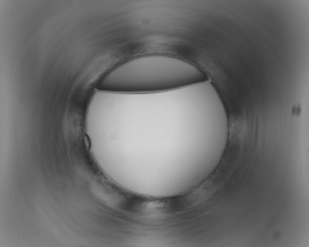 X0000110720158200907022054