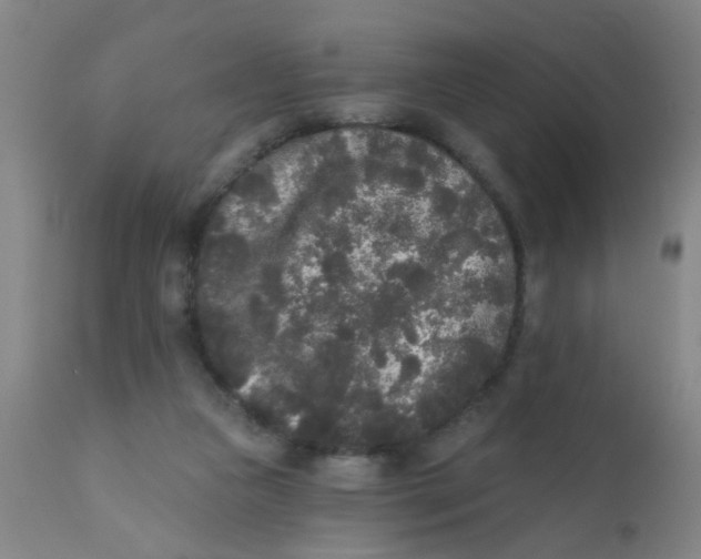 X0000110720161200907022054