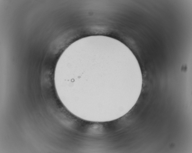 X0000110720162200907022054