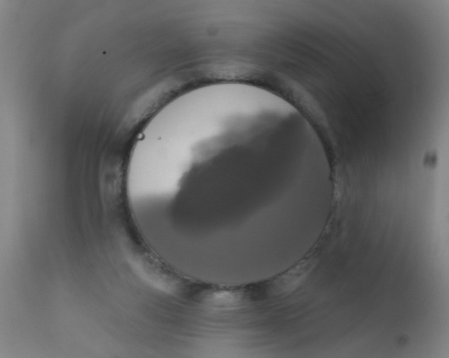 X0000110720163200907022054