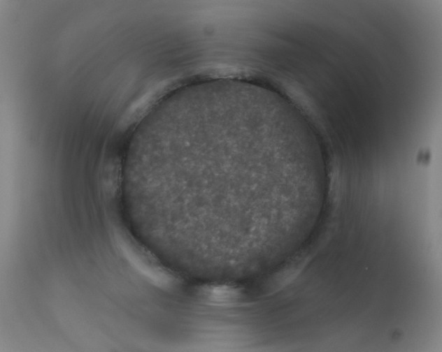 X0000110720165200907022054