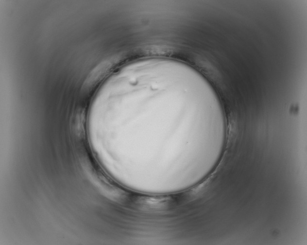 X0000110720166200907022054