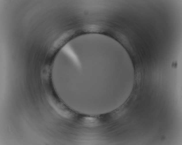 X0000110720167200907022054