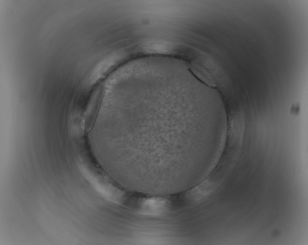 X0000110720168200907022054