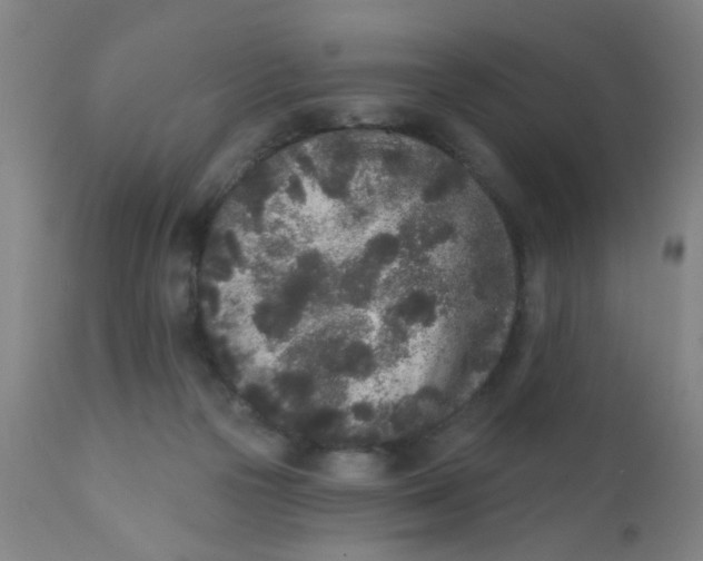 X0000110720169200907022054