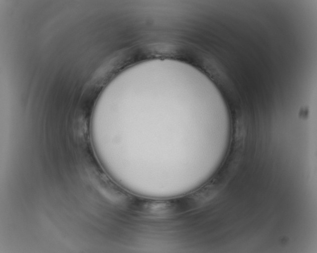 X0000110720173200907022055