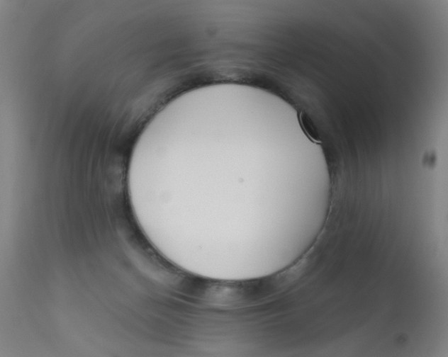 X0000110720174200907022055