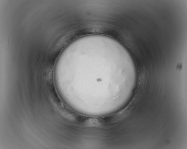 X0000110720175200907022055