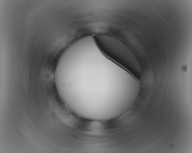 X0000110720176200907022055