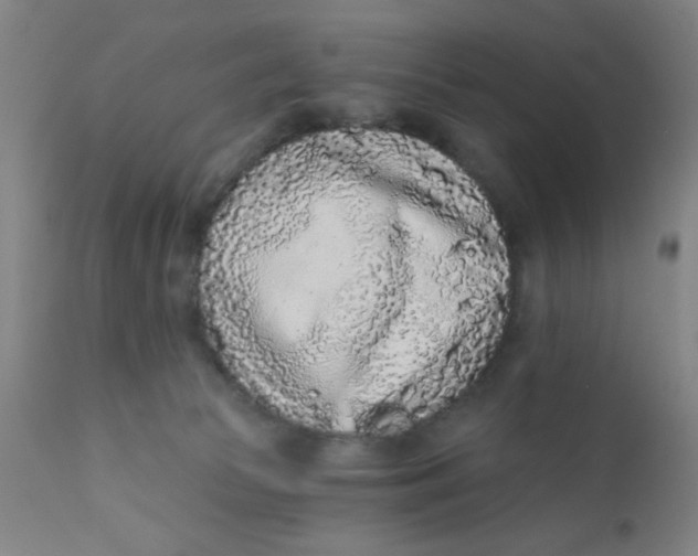 X0000110720177200907022055